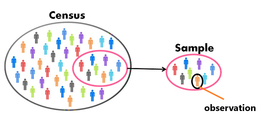 observation sample population